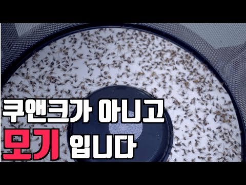 모기퇴치기(모기트랩) 끝판왕 울트라트랩 완벽리뷰 입닫아 날파리 들어간다  mosquito killer trap