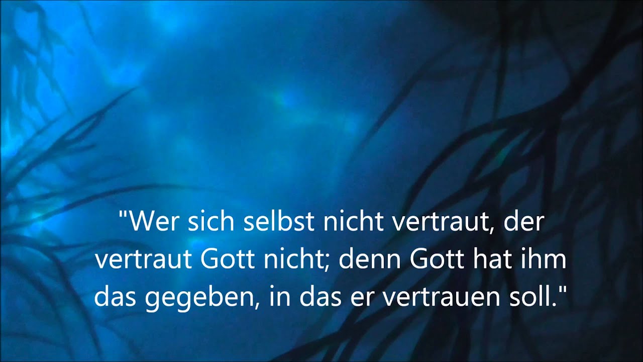 Zitate Zum Nachdenken Youtube