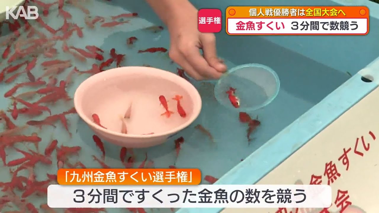 3分間で何匹？九州金魚すくい選手権に221人参加 長洲町で「金魚まつり
