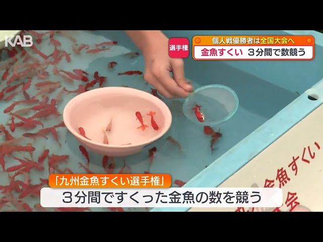 3分間で何匹？九州金魚すくい選手権に221人参加 長洲町で「金魚まつり