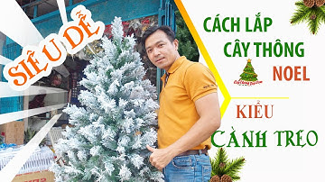 Hướng Dẫn Lắp Cây Thông Noel - Chi Tiết - Dễ Hiểu - Dễ Làm - Shop caythongdepcom – 0915390991
