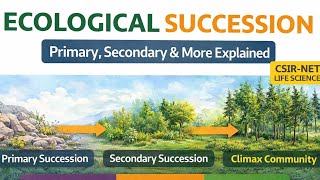Ecological Succession Basics