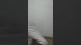 Con Mi Otra Prima Grabando Videos