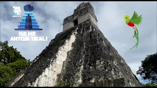 TIKAL, GUATEMALA 2022 🇬🇹