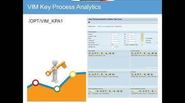 SAP VIM KPI Report"