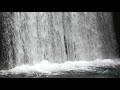 【自然音】滝の下 / 1 Hour Nature Sounds - Under the Waterfall