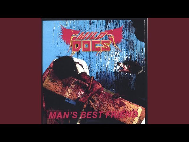Wild Dogs - Beauty And The Beast