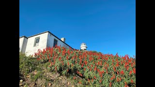 WOW memories at Cape Point Lighthouse 2024 v2
