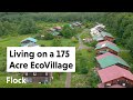 230 people living communally tour of ithaca ecovillage ep 051