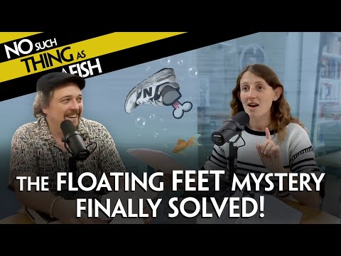 The Floating Feet Mystery Finally Solved! | NSTAAF 455