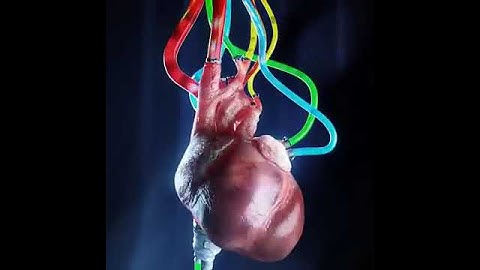 Heartbeat two 3D loop animation