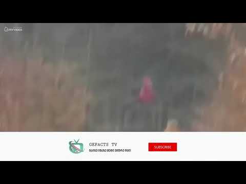 ბავშვები სუპერ ძალებით