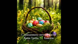 🌼 Встречаем праздник Светлой  Пасхи! 🌼 #травыкавказа