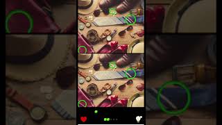 Find The Difference Puzzel Game Level 41 screenshot 3