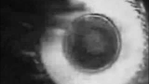 Overlapping Concepts