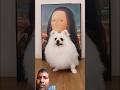 chintu ne sonu ko kurkure se bacha liya#dog #shorts #cat #catnews #ai #viral #funny