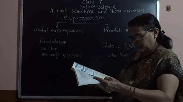 7th Science Unit 11 Cell structure and microorganisms Part 4