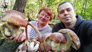 Hríby Huby Houby 17.10.2021 Záhorie Senica MEGA Dubáky Funghi Grzyby Mushroom Pilze грибы griby