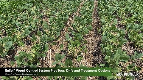 Enlist™ Weed Control System Plot Tour: Drift and Treatment Options