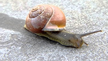 The power of light field photography