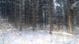 A strange sound southern finland 20.1.2016