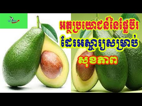 តើផ្លែប័រមានអត្ថប្រយោជន៍អ្វីខ្លះ...!