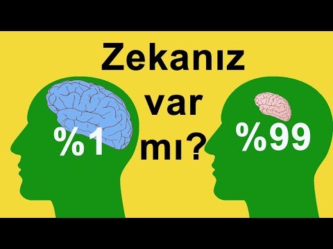 Zekanız Ne Kadar çalışıyor? Verdiğiniz Cevap Gerçek Karakterinizi Ortaya Çıkarıyor!