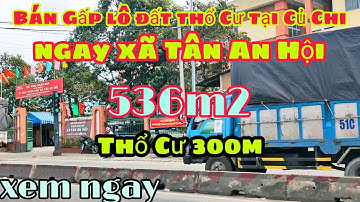 Nhà đất củ chi | giá rẻ | giới thiệu | Lô đất thổ Cư 300m có diện tích tổng 536m2 SHR chính chủ