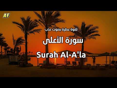 87 سورة الأعلى بصوت شجي وجميل القارىء الشيخ علاء عقل 