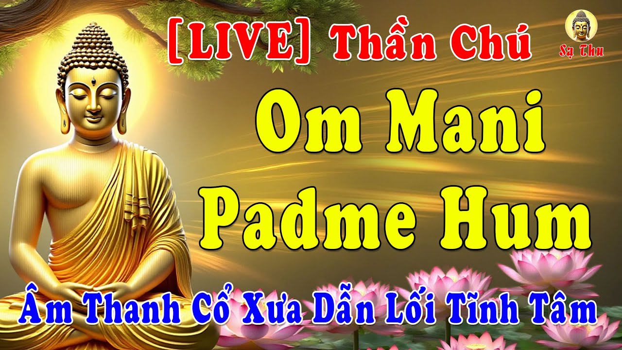 🔴 [LIVE] Om Mani Padme Hum | Tụng 108 Lần – Không Gian Thiền Linh Thiêng, Ngày 26-01-2026