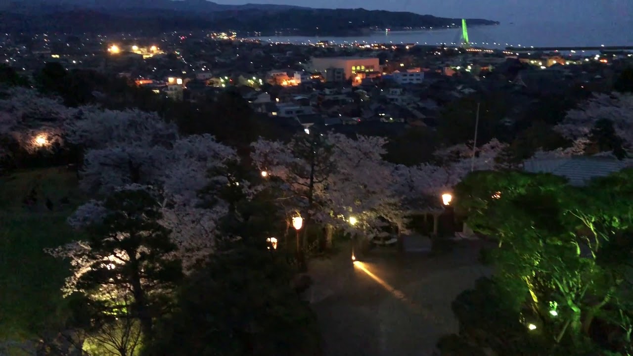 富山県氷見市の朝日山公園の夜桜です YouTube