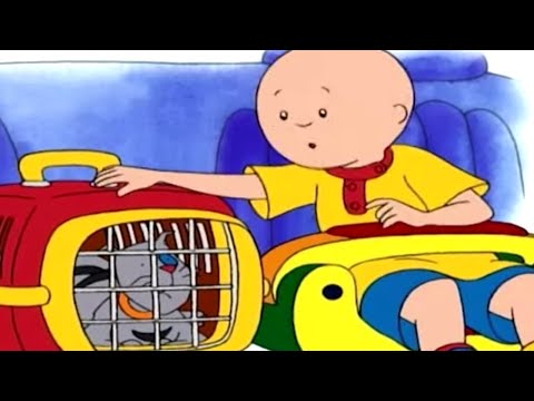 Caillou Türkçe - Caillou ve Hasta Kedi | kayu cizgi filmi | çizgi filmleri çocuklar için | WildBrain