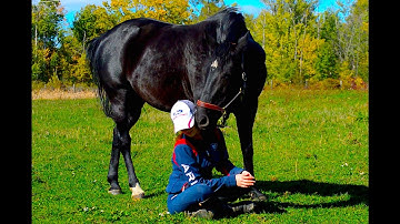 "She Was Brave And Strong And Broken All At Once."