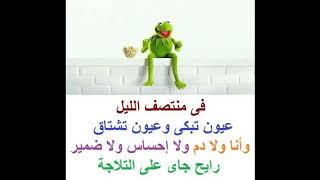 اجمل نكت الضفدع الأخضر روعة😂🤣😂 اضحك من قلبك مع الضفدع كيرميت 💔 ١٨