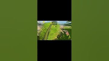 Firing Range Best Snd Grenade Spots 💣💣 #callofdutymobile