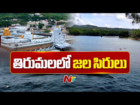 తిరుమలలో కళకళలాడుతున్న జలాశయాలు | Tirumala | NTV Telugu - NTVTELUGU