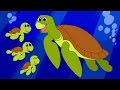 Sea Turtle Cartoon | Cute Animated Ocean Animals Video for Children | Learn Animals for Kids