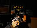 「ホウセンカ」という曲です