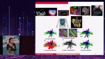 MLAI 2019 #04 - Isabelle Bloch – Knowledge representation and model-based image understanding