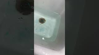 Pulling plug in big sink #satisfying #cool #water