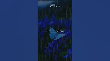 أجمل تلاوة هادئة #تلاوة_خاشعة #قرآن #اكسبلور #funny #متابعه #لايك