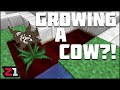 Can We GROW LEATHER?! ATM6 Modded Minecraft Ep.9 | Z1 Gaming