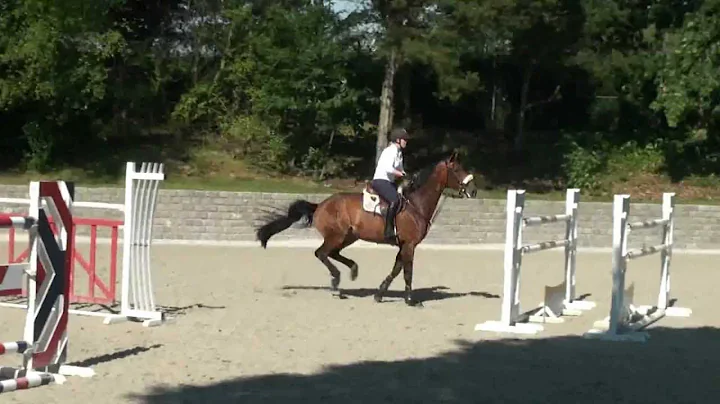 Floreen Video 2