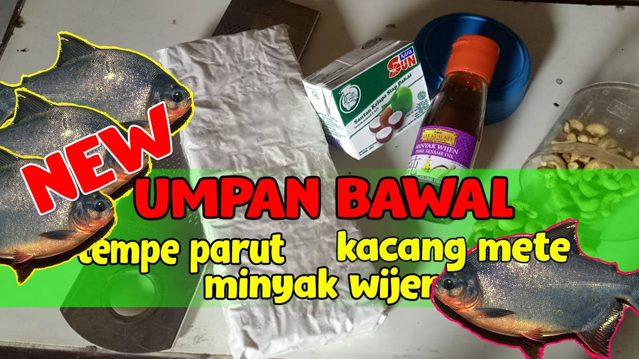UMPAN BAWAL KOLAM TERBARU DAN RASAKAN SENSASINYA