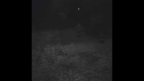 NF NEW SONG: Options (SNIPPET)