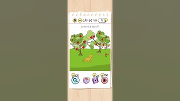 Brain test có giải thích tiếng Việt cấp độ 197