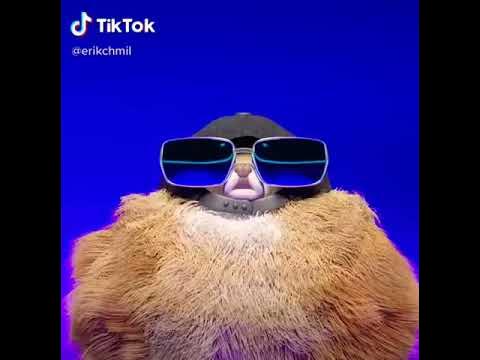 Мем с мохнатой собакой