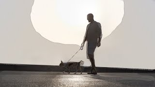Murat Akay - Havla Köpeğim Resimi