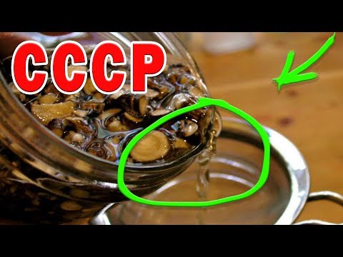 Феноменальный рецепт из СССР! Секрет "Кремлёвской Травки" раскрыт...