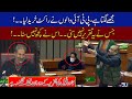 PPP Leader Qadir Patel Speech In National Assembly, Everybody Laughs
